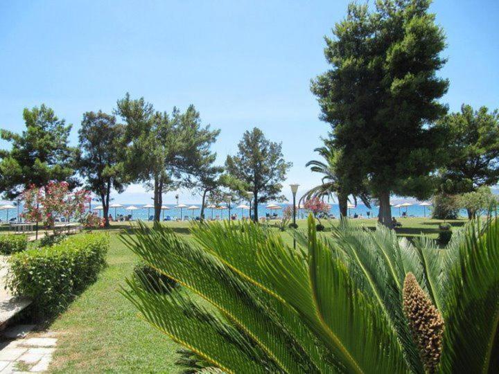 Nafsika Beach Delphi-Итеа Екстериор снимка